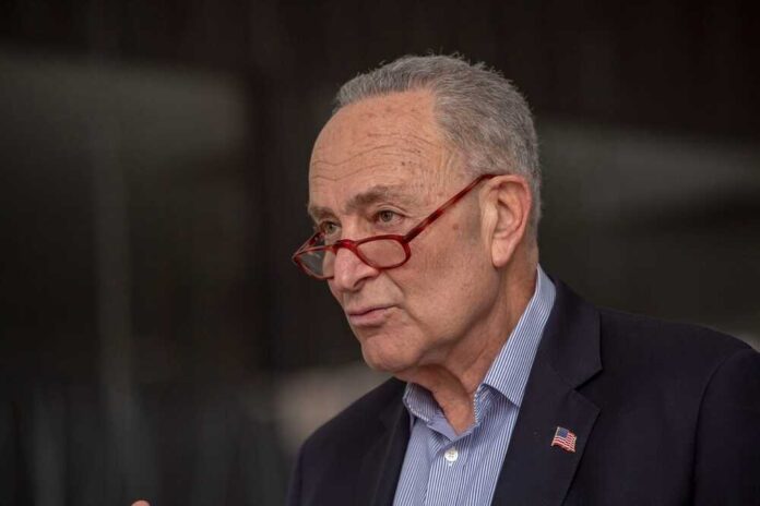 New,York,,Ny,,February,27:,Us,Senator,Schumer,Announces