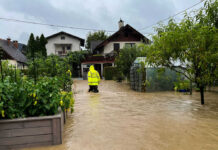 RAT INVASIONS Surge After Torrential Rain Person in yellow jacket wading through flooded residential area.