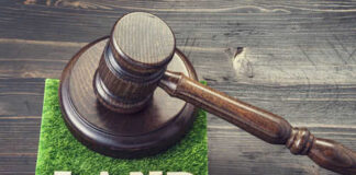 Gavel on grass with the word land