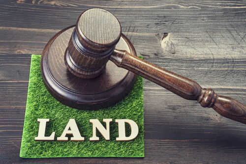 Gavel on grass with the word land