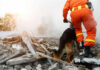 Rescue worker and dog searching rubble debris