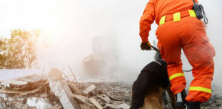 Rescue worker and dog searching rubble debris