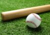A baseball and a wooden bat resting on green grass