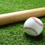 A baseball and a wooden bat resting on green grass