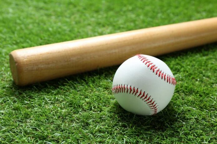 A baseball and a wooden bat resting on green grass