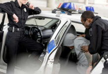 Police officers detaining person in back of patrol car.