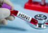 Test tube labeled H5N1 near stethoscope.