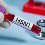 Test tube labeled H5N1 near stethoscope.