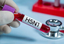 Test tube labeled H5N1 near stethoscope.