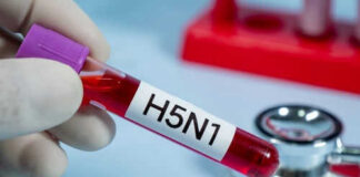 Test tube labeled H5N1 near stethoscope.