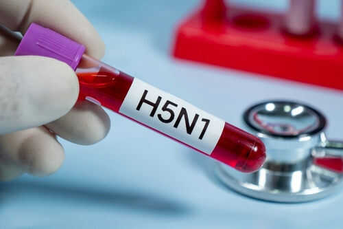 Test tube labeled H5N1 near stethoscope.