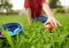 Child reaching for a red Easter egg on the grass