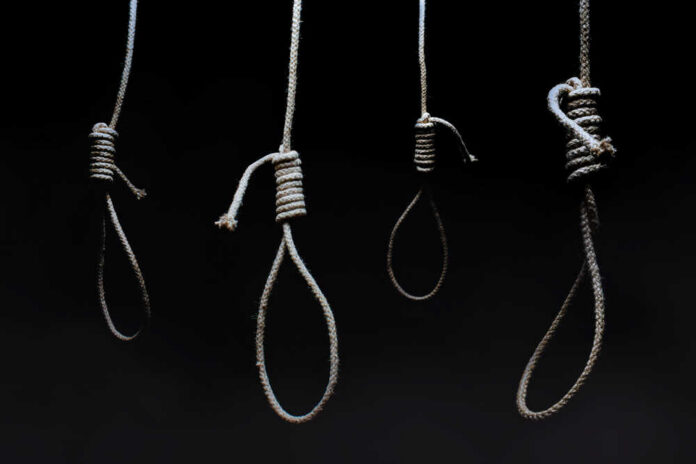 Four nooses hanging against a dark background