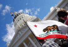 Arcadia Mayor Pleads Guilty to Felony Charges California state flag held up in front of a government building under a blue sky