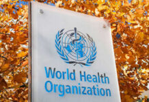 Deadly Virus Strikes Cruise Ship World Health Organization sign with autumn leaves background