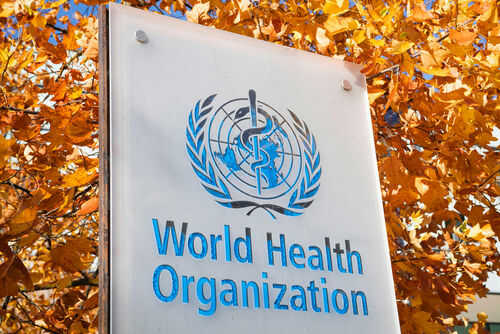 World Health Organization sign with autumn leaves background
