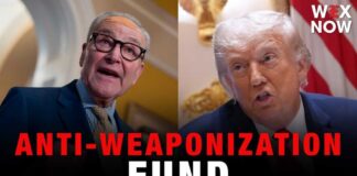 Chuck Schumer promises litany of actions to halt Trump’s anti-weaponization fund