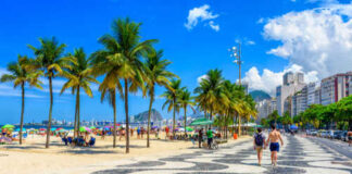 A coastal walkway lined with palm trees and beachgoers enjoying a sunny day