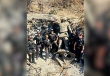 San Jose police recover large Vietnamese memorial statue stolen from community garden