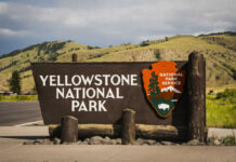Grandpa Launched—Yellowstone Safety Myth Shattered Yellowstone National Park entrance sign