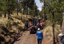 Convict Lake Cliffhanger — Rescue Goes Old-School rescue team with ATVs on a forest trail