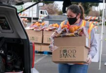 Blood-For-Cash America, Courtesy Of Congress Volunteer loads food bank box with produce into car trunk
