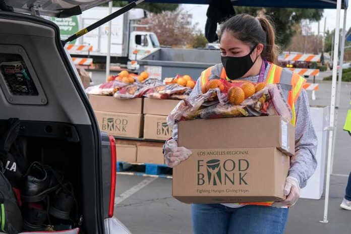 shutterstock_1870001095-1 Volunteer loads food bank box with produce into car trunk