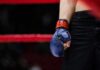 Towel Drama Crowns New Heavyweight King Boxer with blue glove standing by the ropes