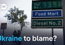 Trump blames Ukraine for record US diesel prices. Is he right? | DW News