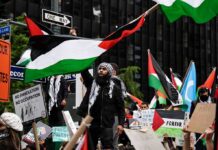 Protesters wave Palestinian flags at a city street demonstration
