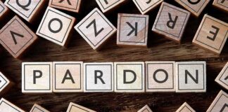 Wooden letter blocks arranged to spell 'PARDON' on a wooden surface