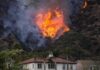 70‑MPH Gusts Supercharge Firestorm Wildfire burning on a hillside near homes